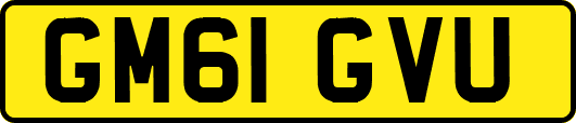 GM61GVU