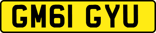 GM61GYU