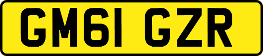GM61GZR