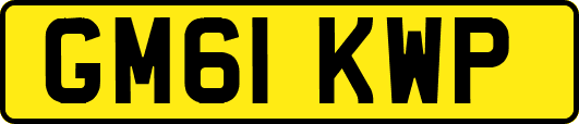 GM61KWP