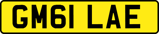 GM61LAE