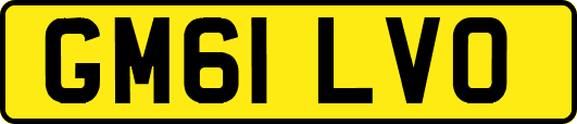 GM61LVO