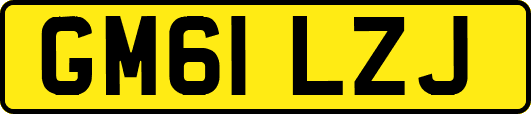GM61LZJ