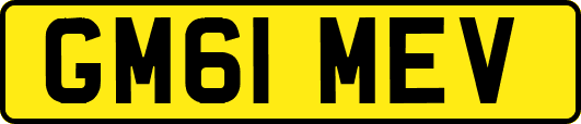 GM61MEV
