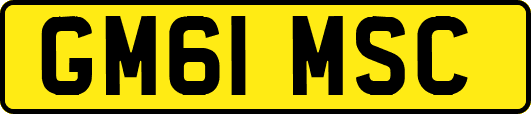 GM61MSC