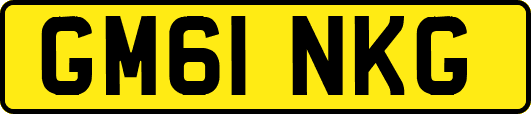 GM61NKG