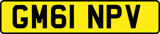 GM61NPV