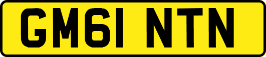 GM61NTN