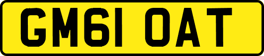 GM61OAT