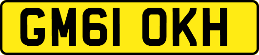 GM61OKH