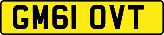 GM61OVT