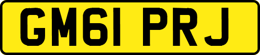 GM61PRJ