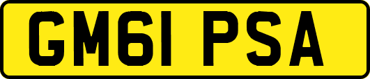 GM61PSA