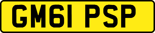 GM61PSP