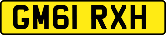 GM61RXH