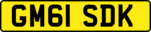 GM61SDK