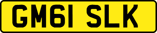GM61SLK