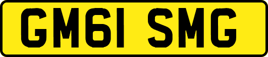 GM61SMG