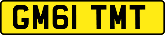 GM61TMT
