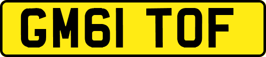 GM61TOF
