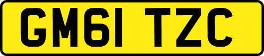 GM61TZC