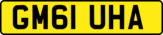 GM61UHA