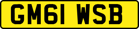 GM61WSB