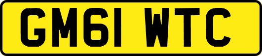 GM61WTC