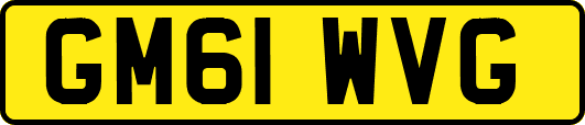 GM61WVG