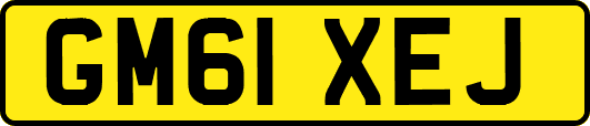 GM61XEJ