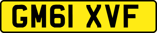 GM61XVF