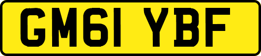 GM61YBF