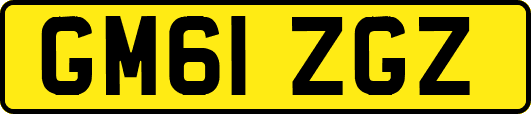GM61ZGZ