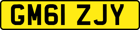 GM61ZJY