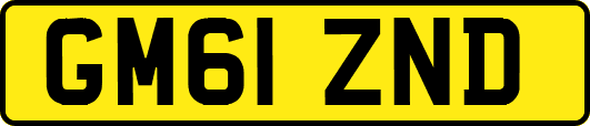 GM61ZND