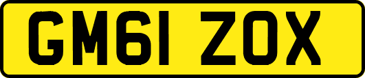 GM61ZOX