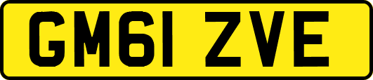 GM61ZVE