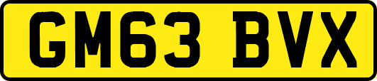 GM63BVX