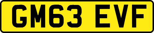 GM63EVF