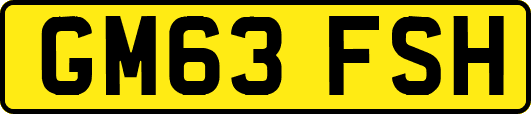 GM63FSH