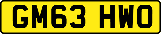 GM63HWO