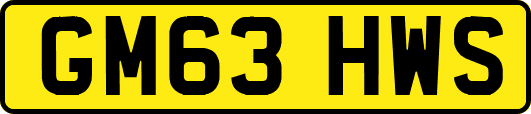 GM63HWS