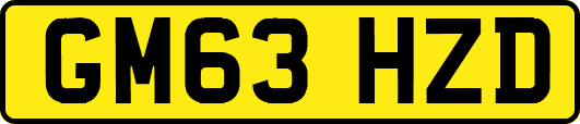 GM63HZD