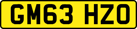 GM63HZO