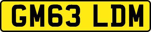 GM63LDM