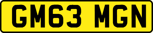 GM63MGN