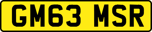 GM63MSR