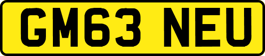 GM63NEU