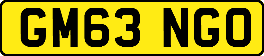 GM63NGO