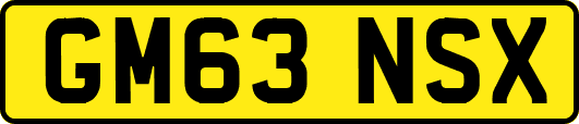 GM63NSX